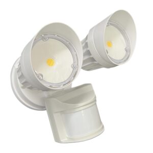 MOTION SECURITY LIGHT